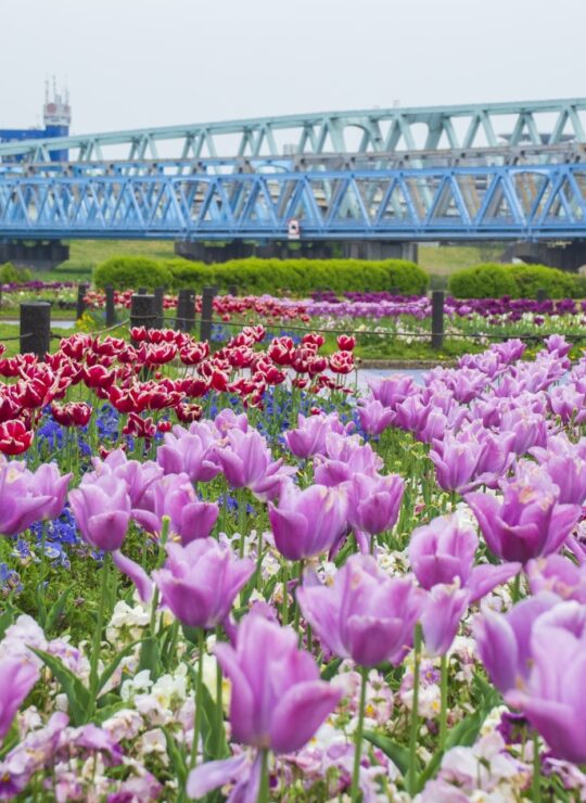 東京都荒川区