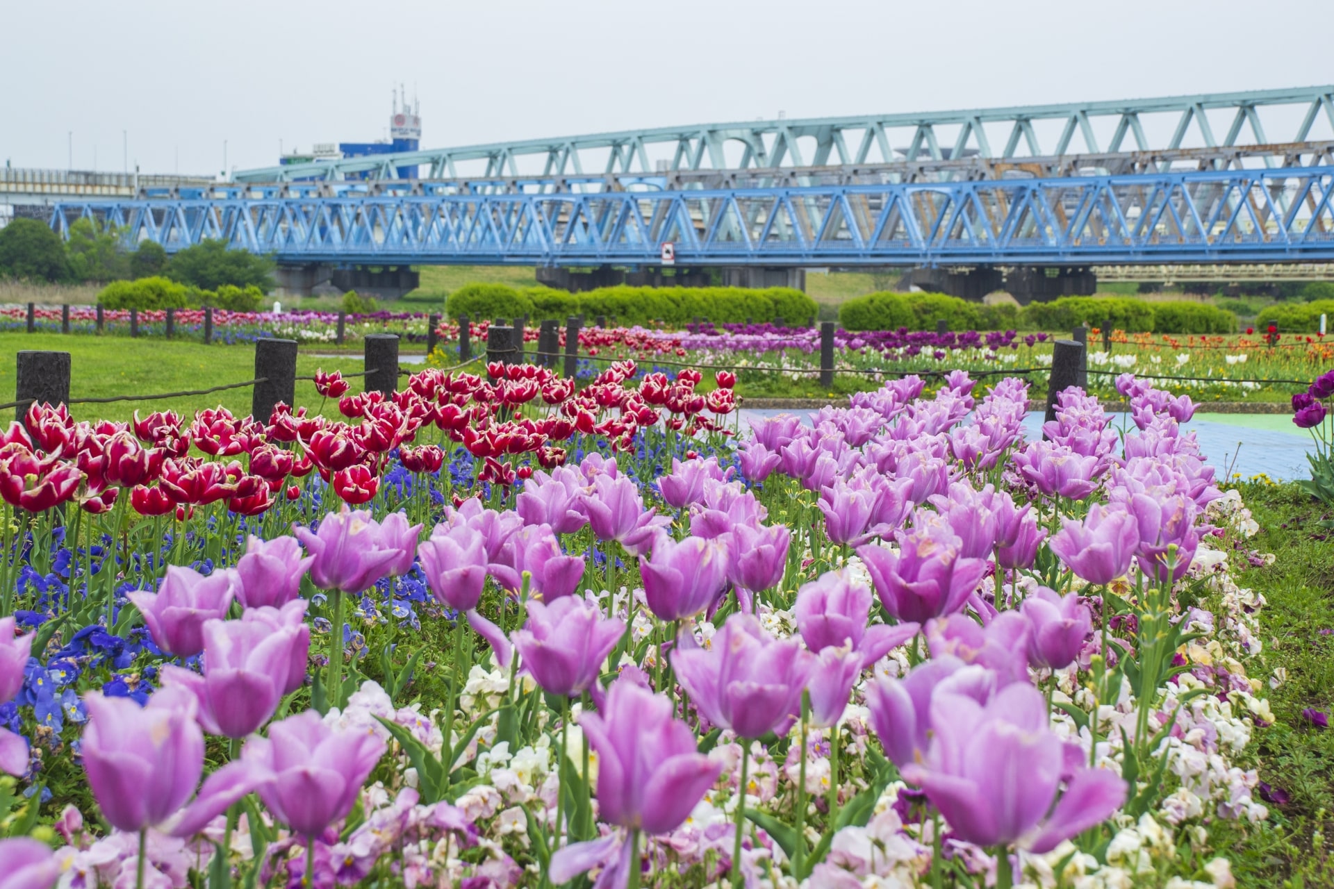 東京都荒川区