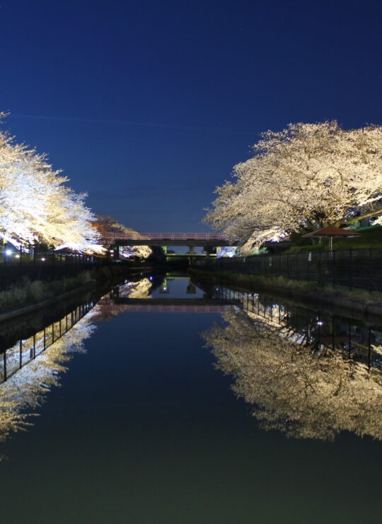 新潟市南区