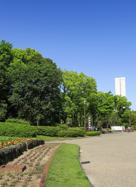 堺市中区