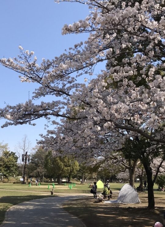 さいたま岩槻区