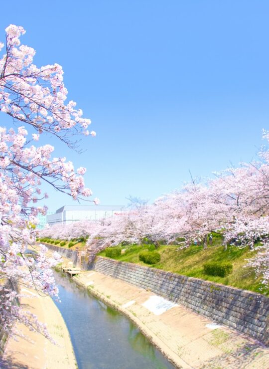 名古屋市瑞穂区