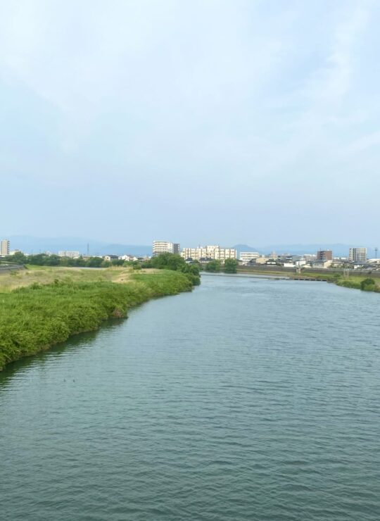 熊本市南区