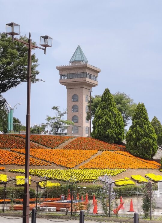 相模原南区
