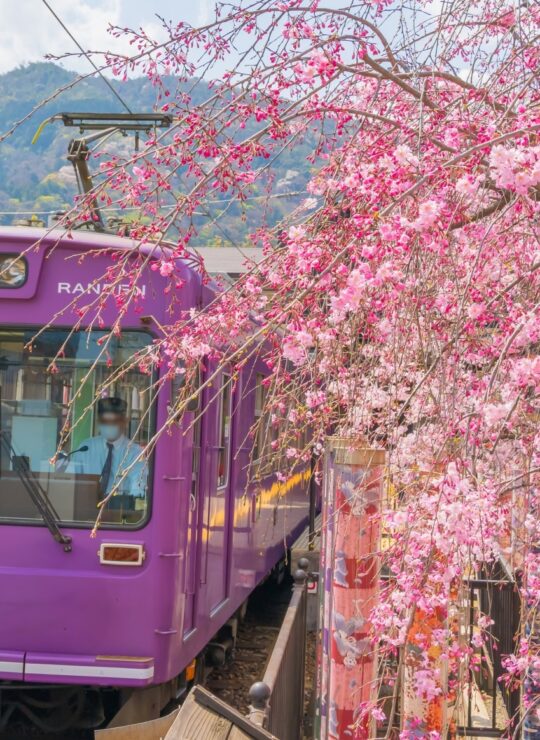 京都市右京区