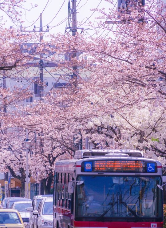 横浜市青葉区