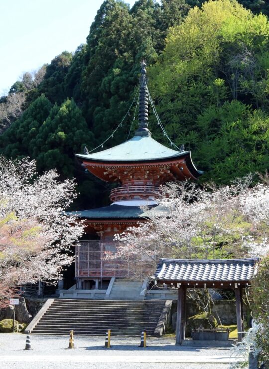 京都市西京区
