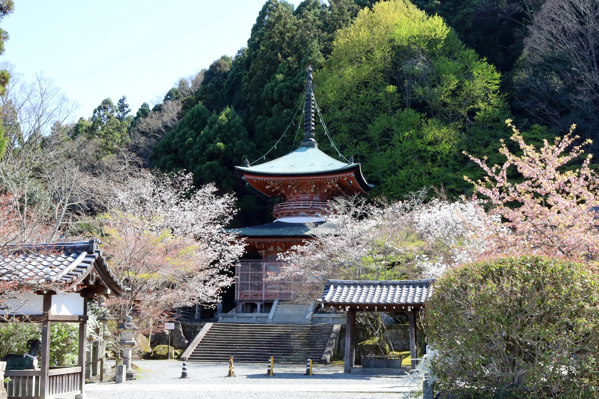 京都市西京区