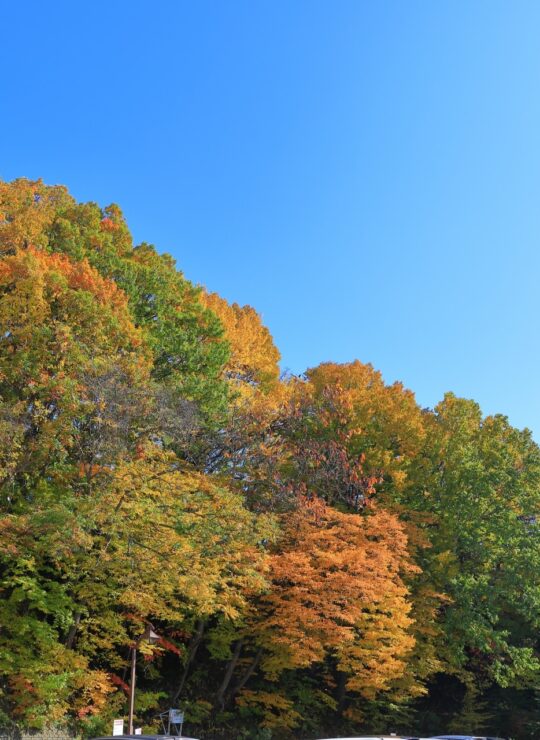 札幌市清田区