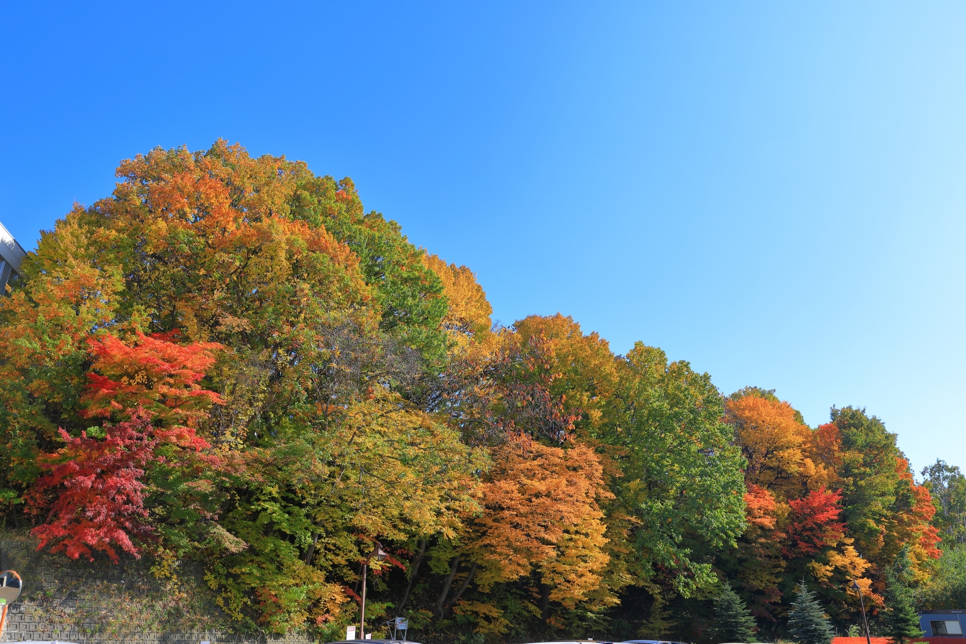 札幌市清田区