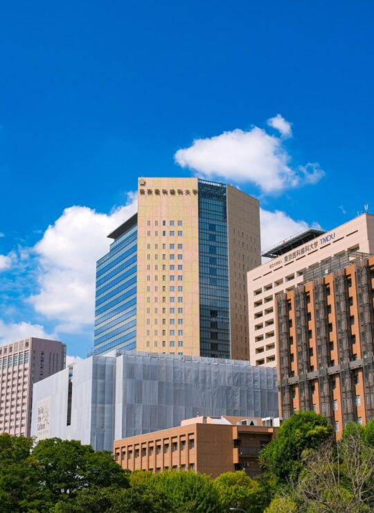 東京都文京区