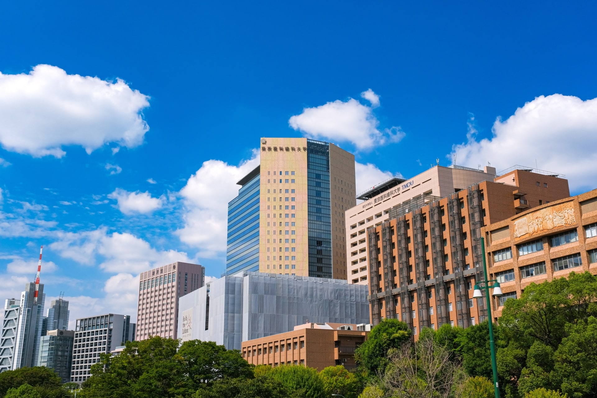 東京都文京区