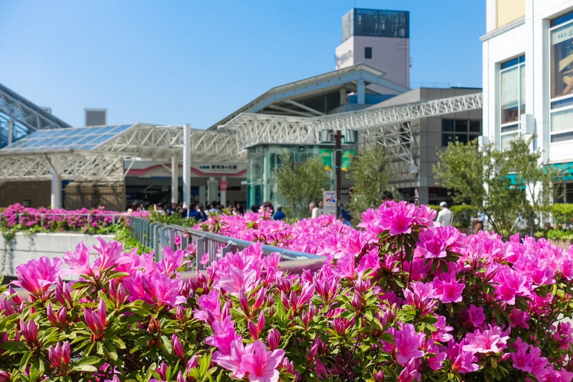 川崎市麻生区