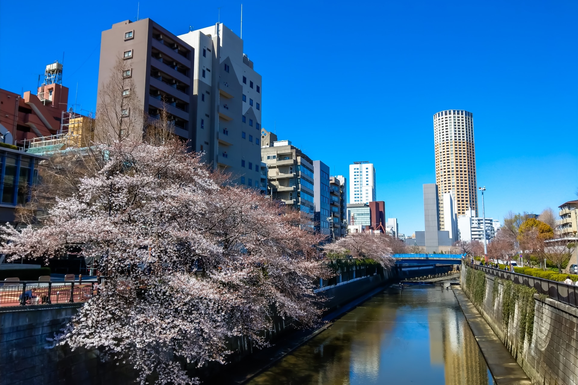 東京都目黒区