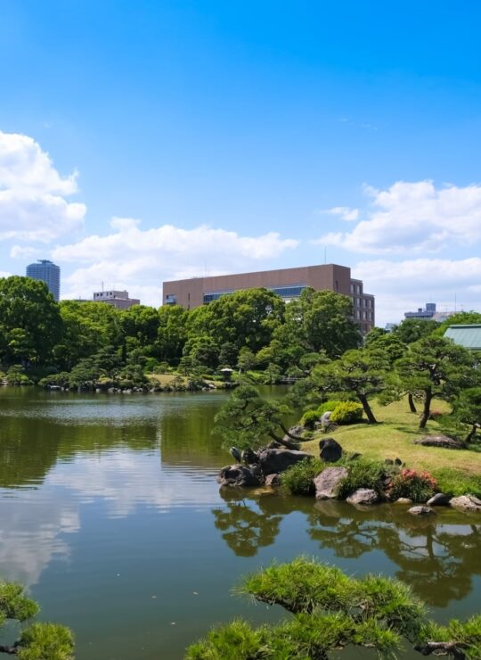 江東区