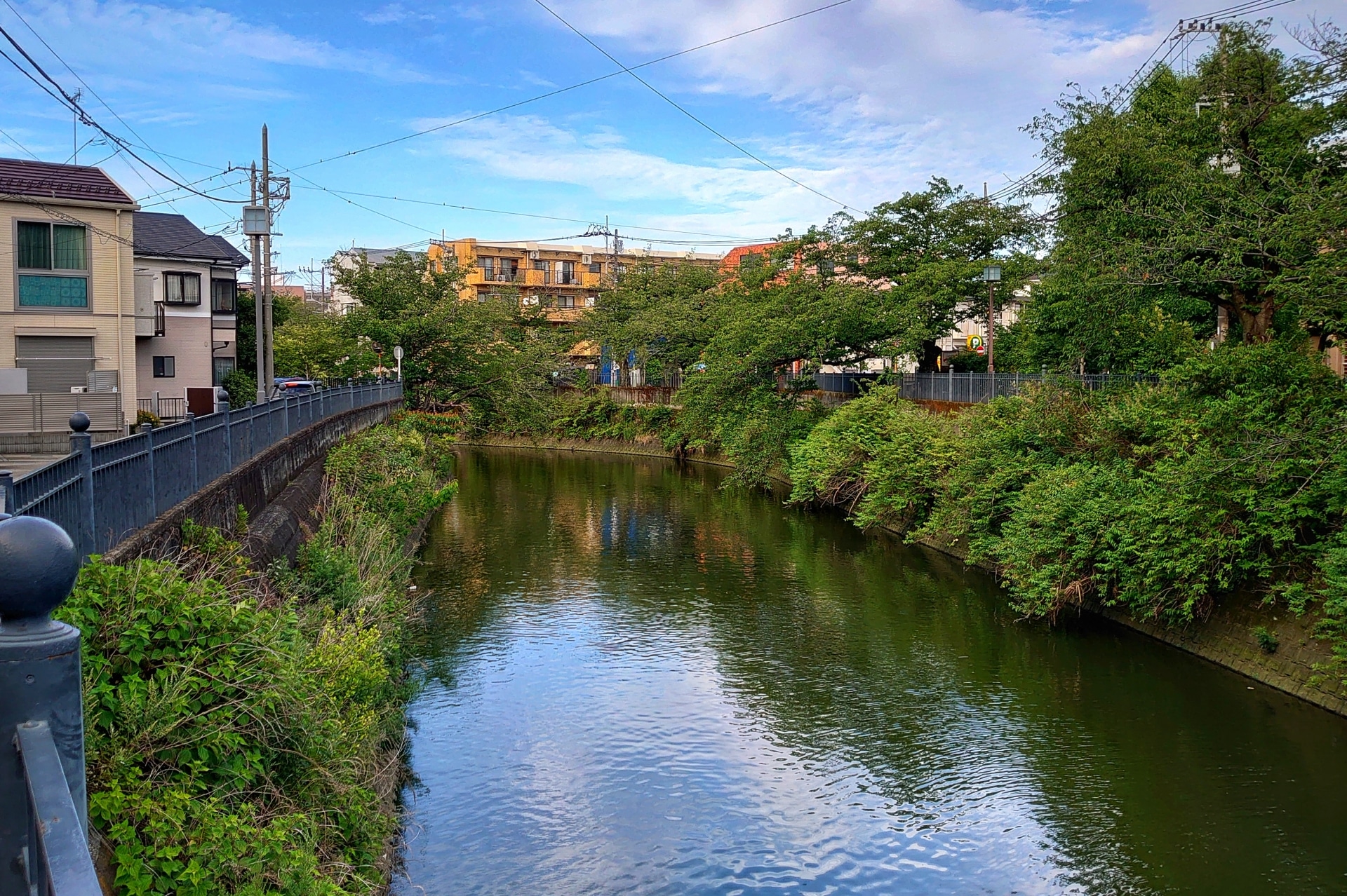 横浜市南区