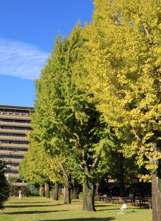 熊本県