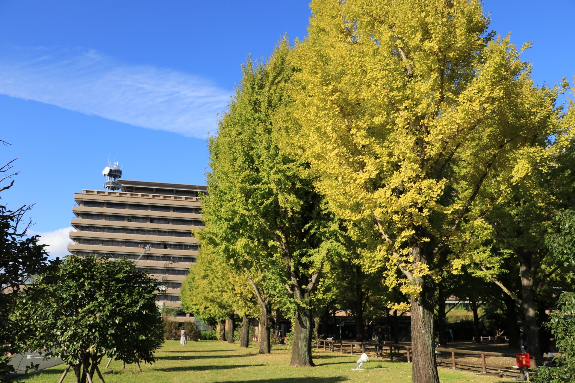 熊本県
