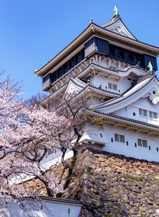 北九州市