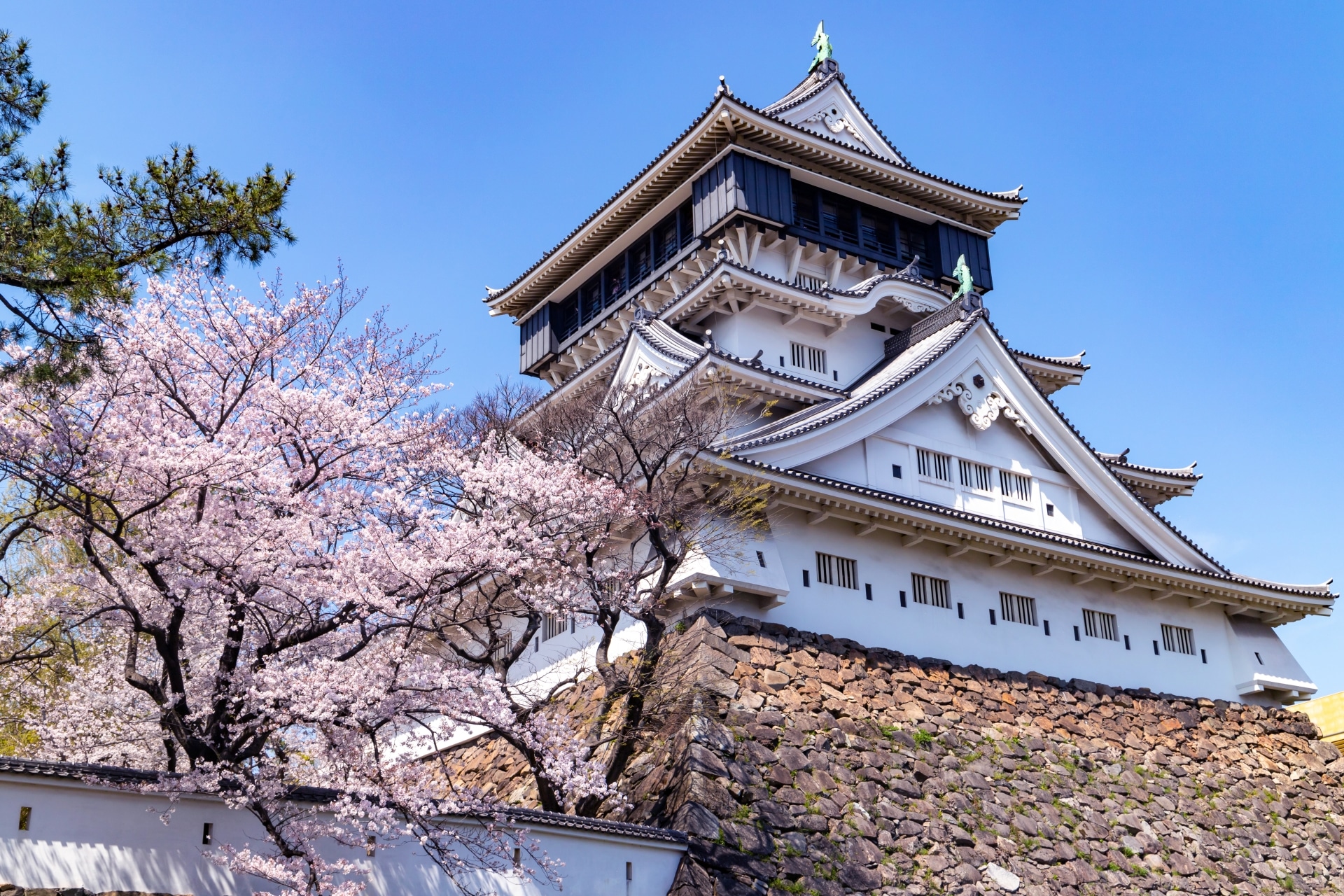 北九州市