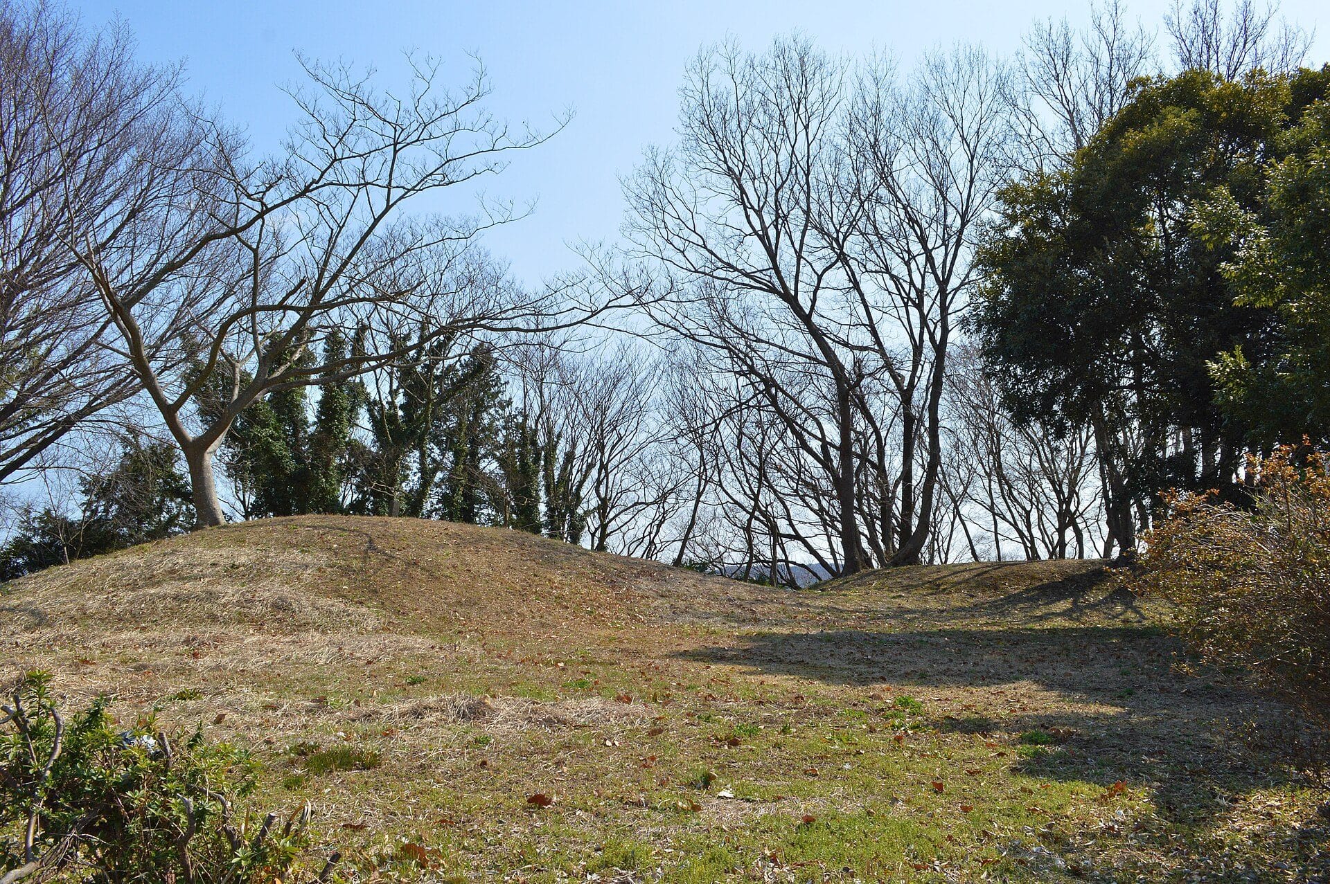 秦野市