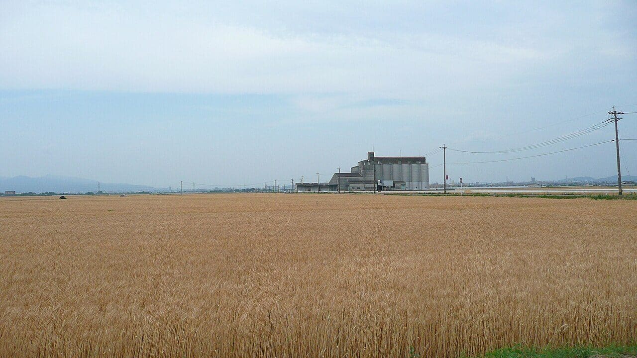 嘉島町
