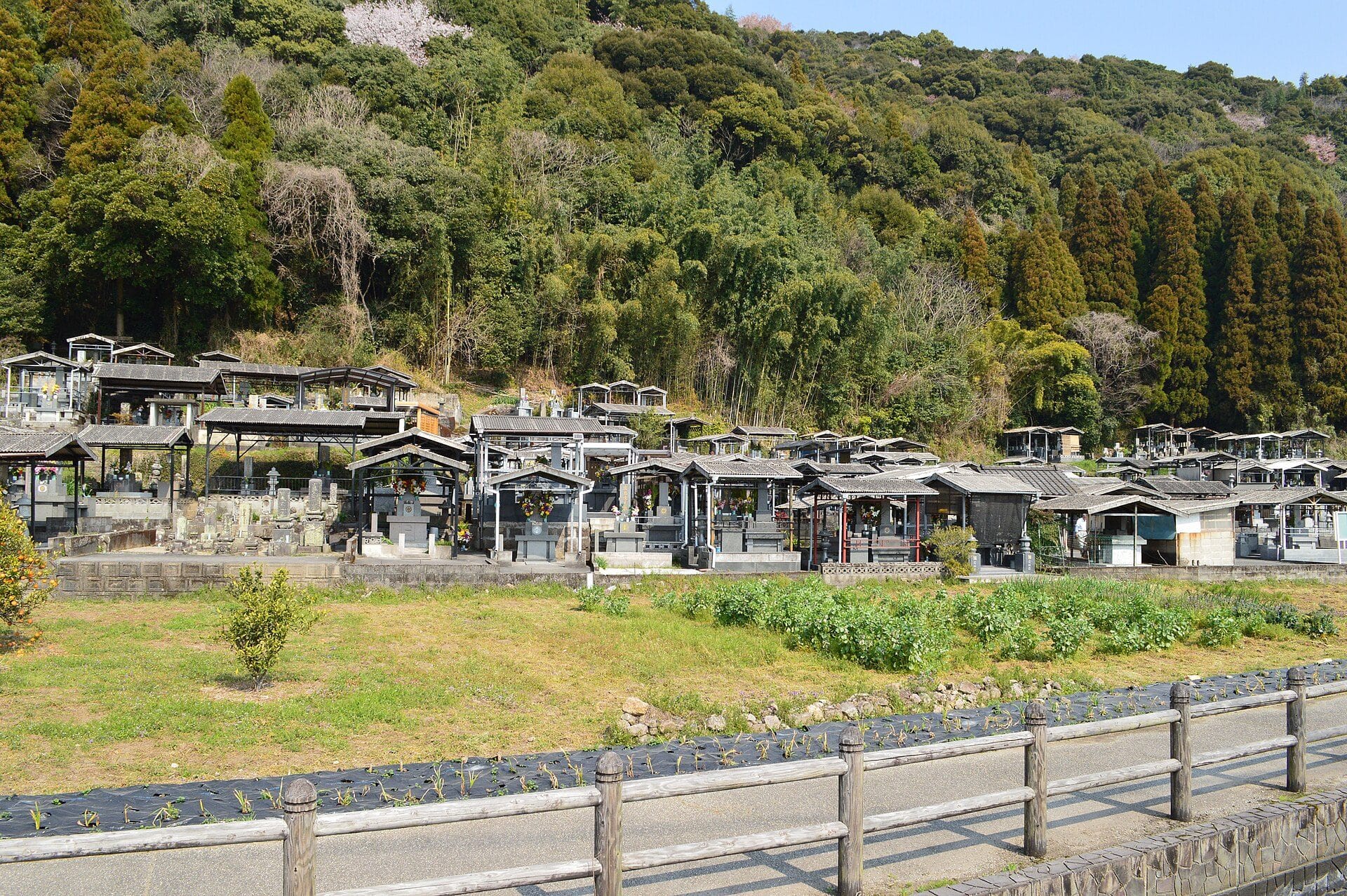 霧島市