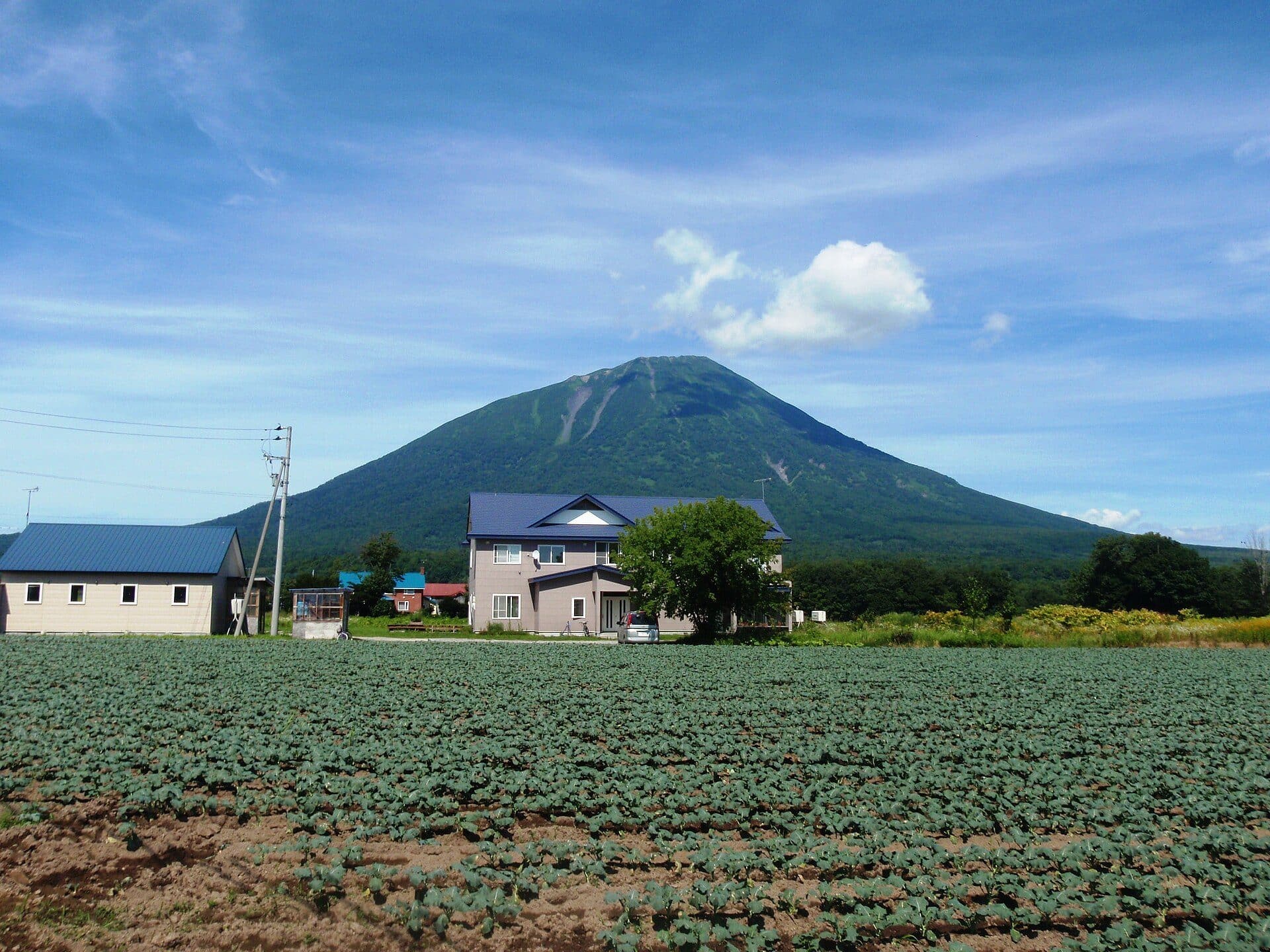 真狩村