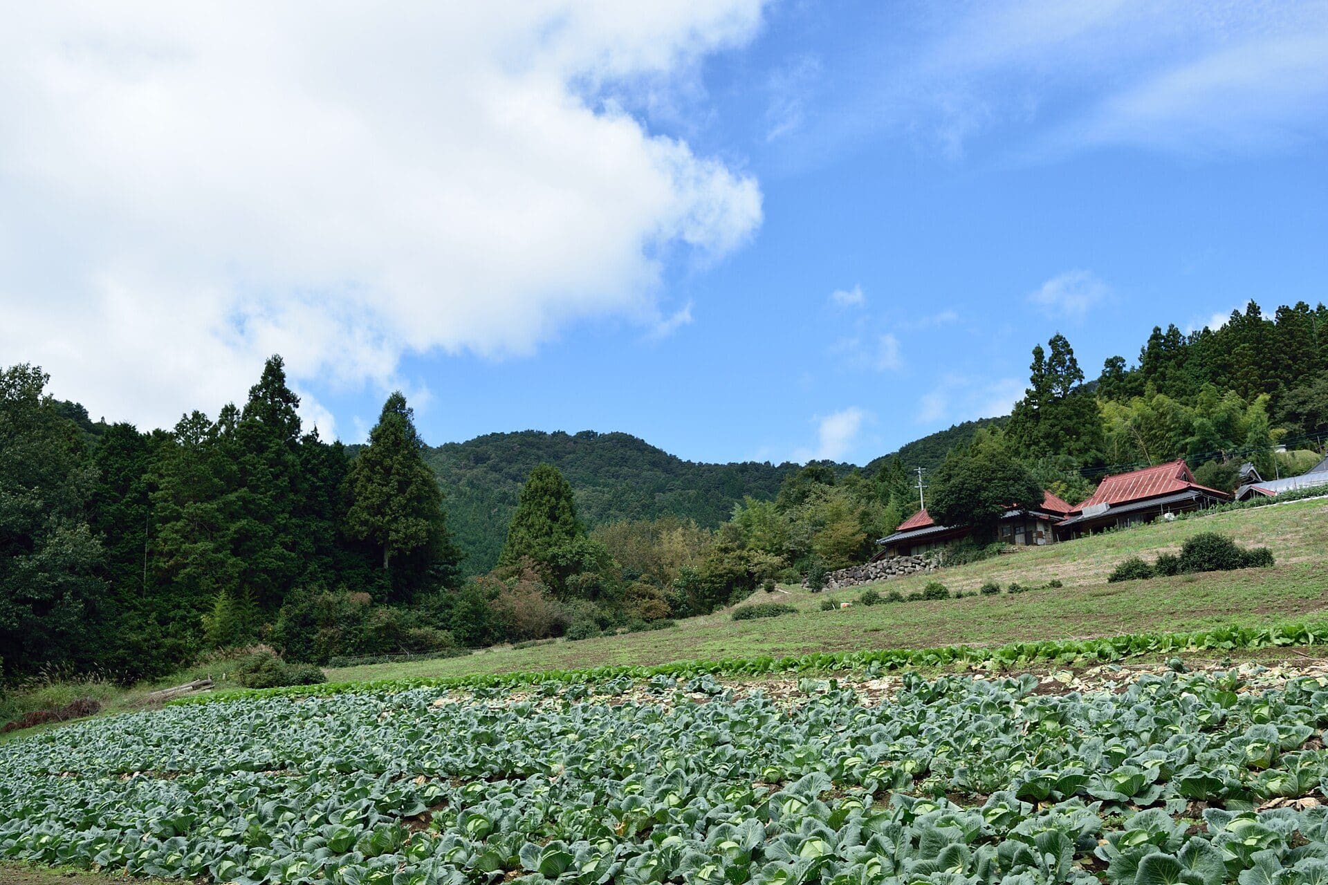 まんのう町