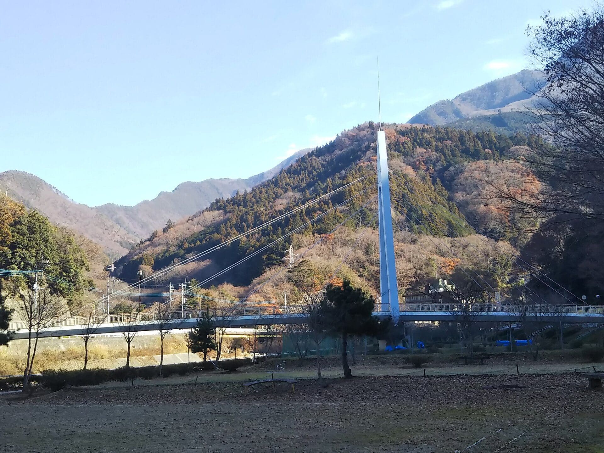 身延町