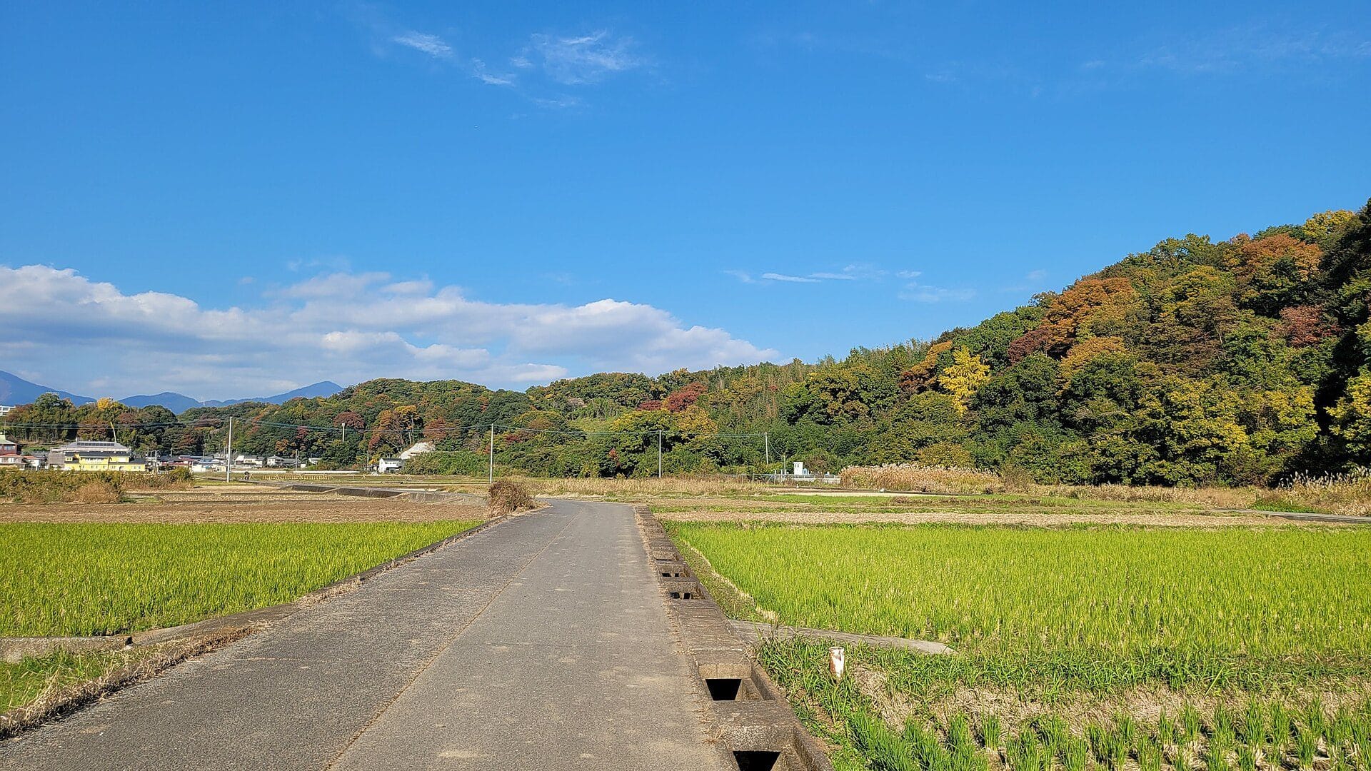 中井町