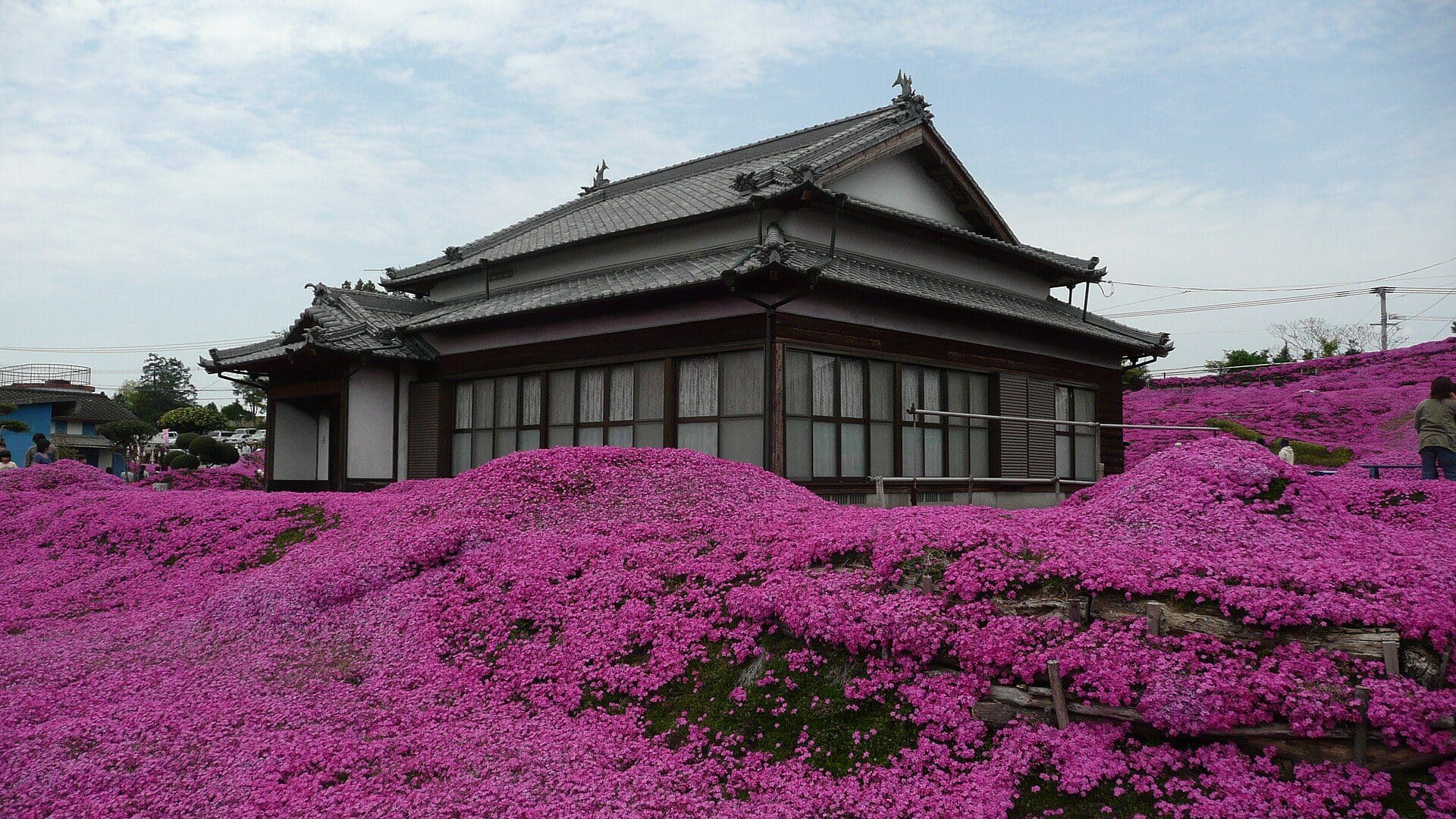新富町