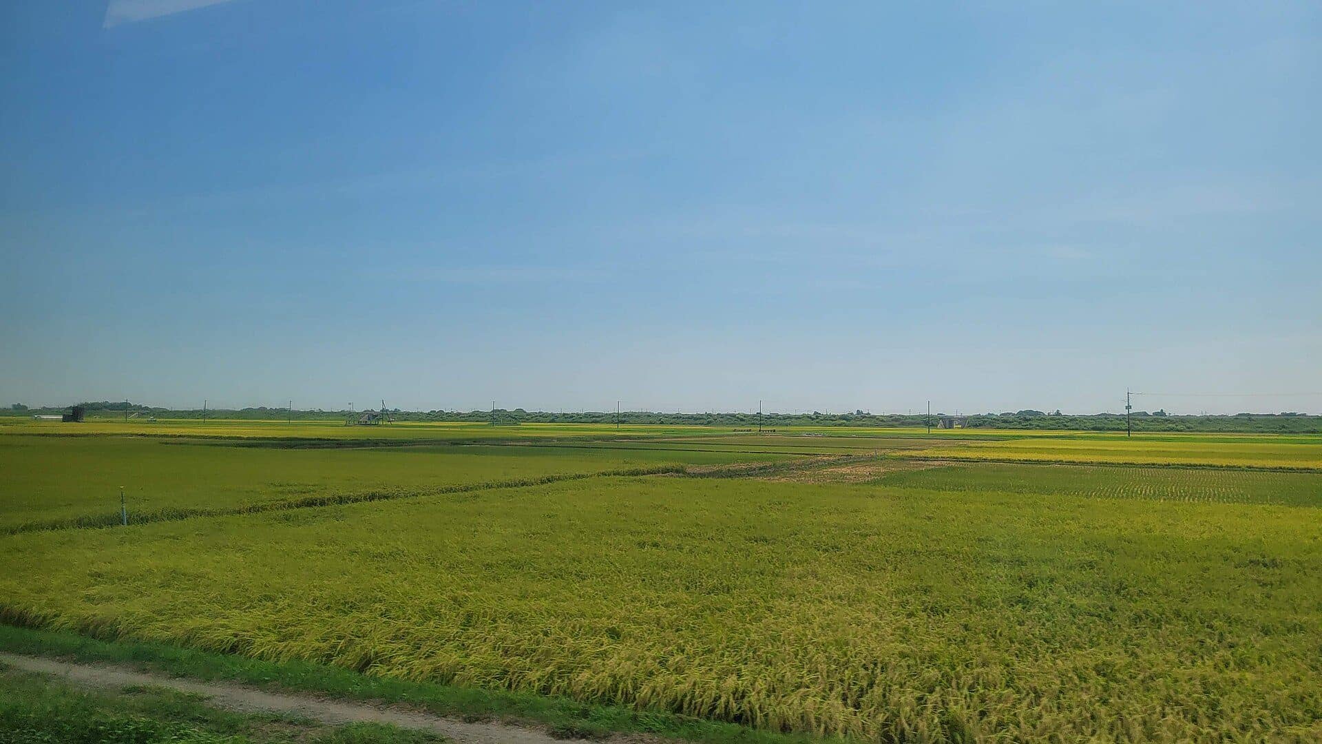 匝瑳市