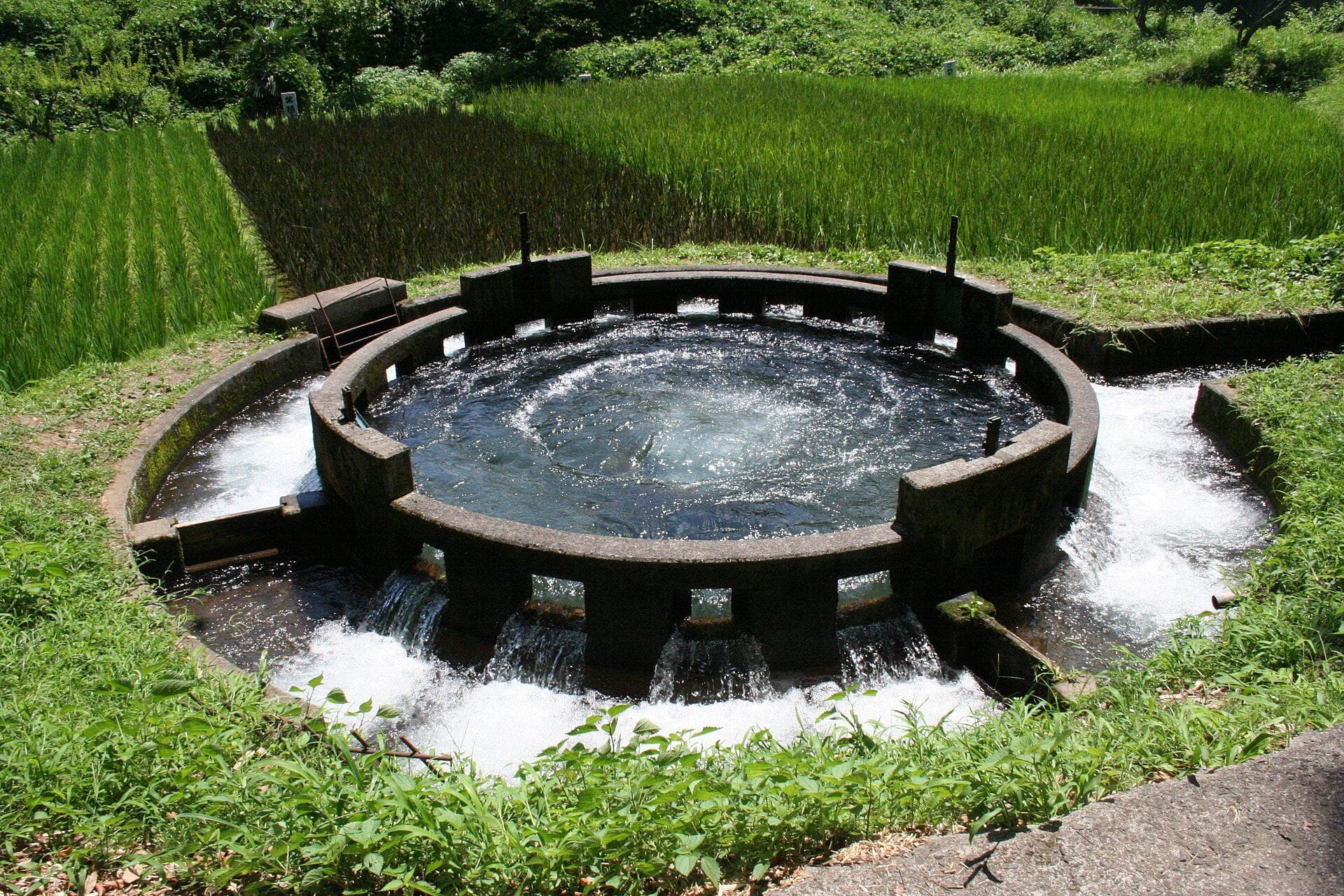 竹田市