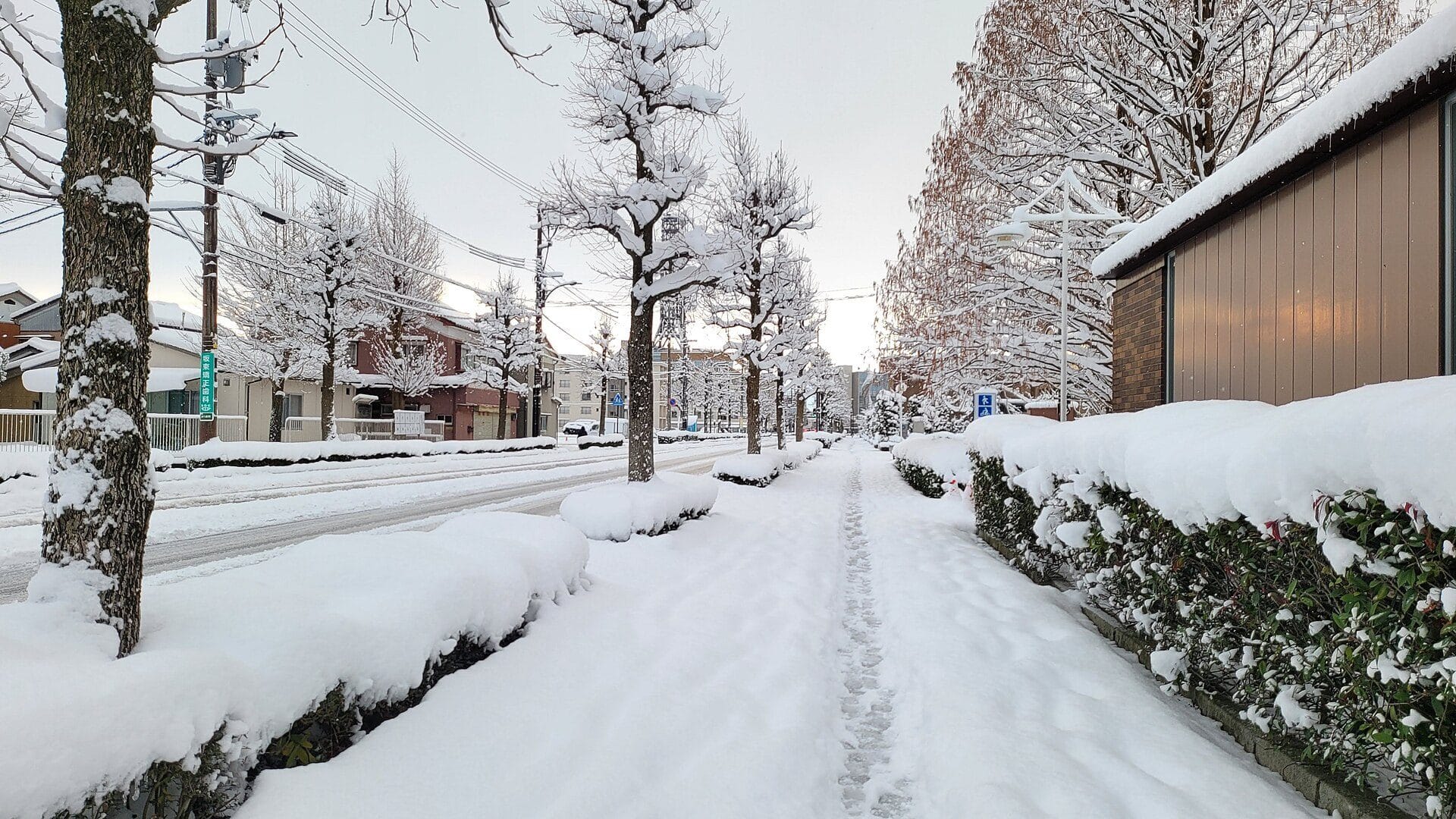 富山市