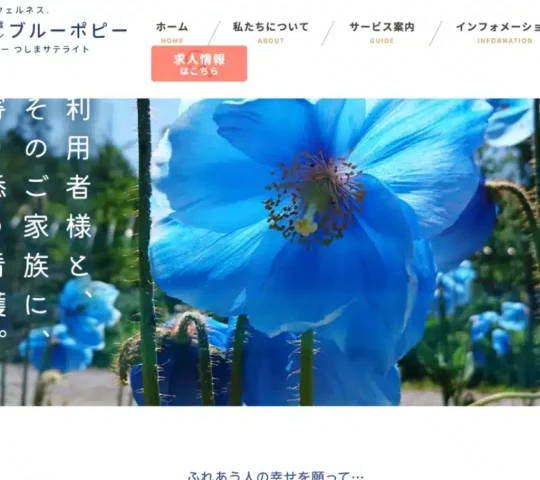 訪問看護ステーション ブルーポピー 訪問看護ステーション ブルーポピー