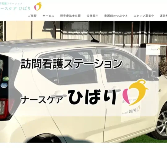 ナースケアひばり野田店